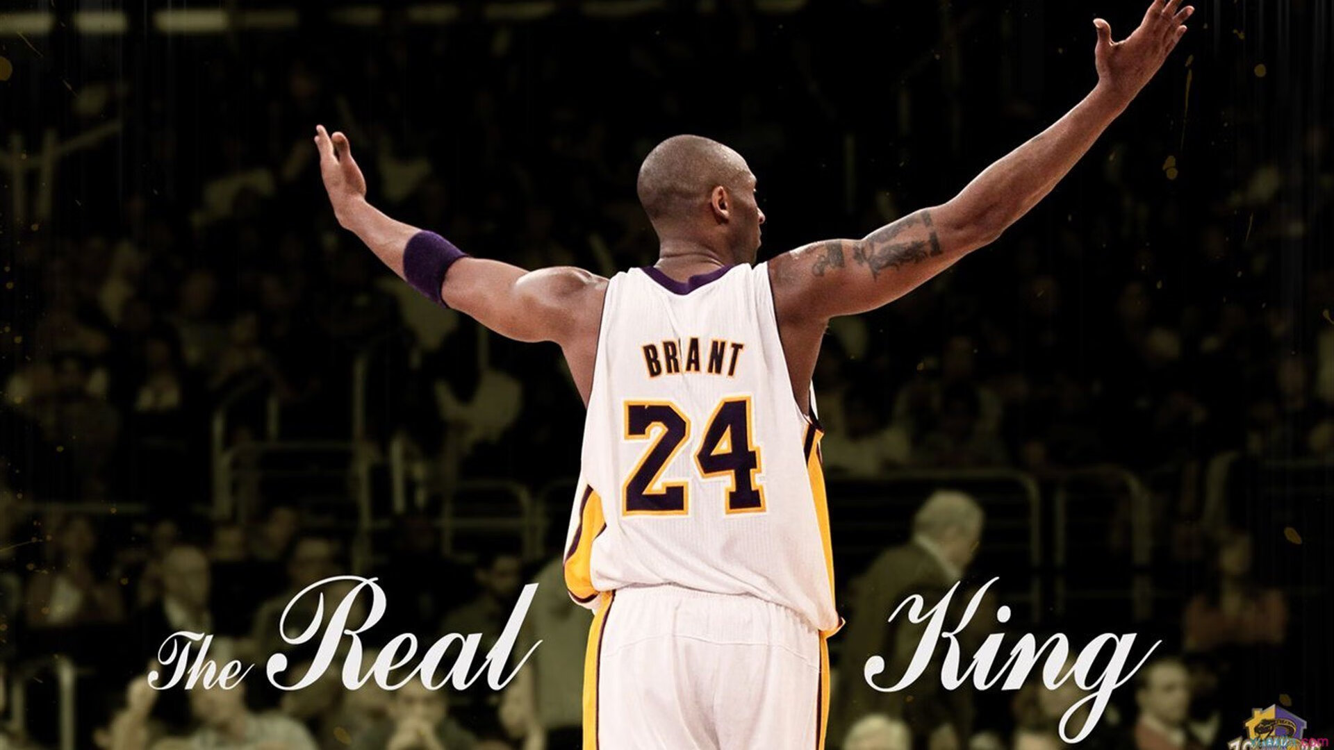 埃及男篮在非洲篮球锦标赛中夺冠，重振非洲篮球的声誉